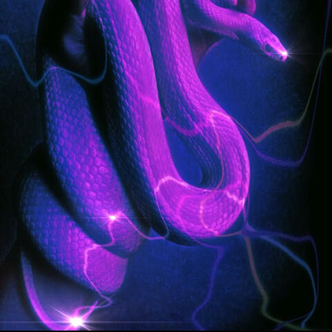 snakes