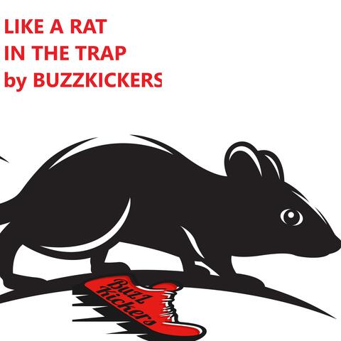Like a rat in the trap