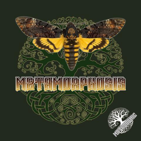 C.O.C (Consequence of Compromise)