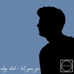 why did i let you go?
