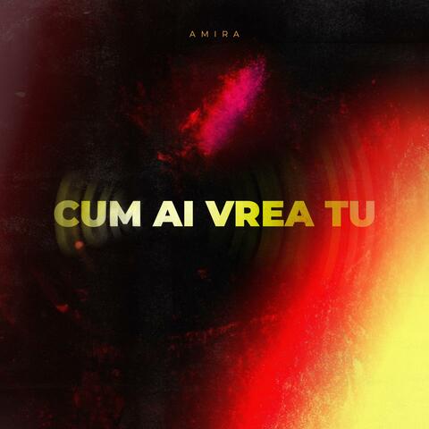 Cum ai vrea tu
