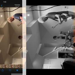 Toledo Tuesday's / Cover / Hollow Body