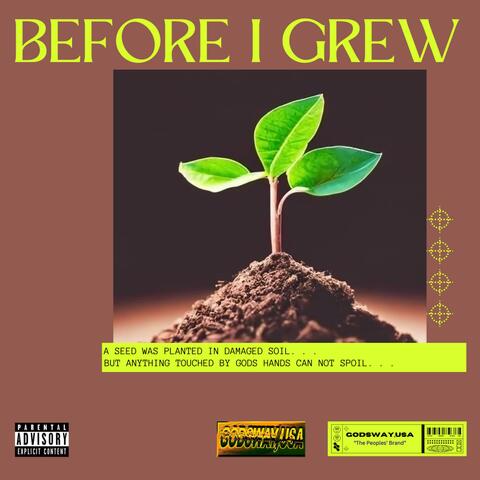 Before I Grew