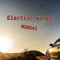 Electric wings
