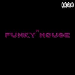 FUNKY HOUSE