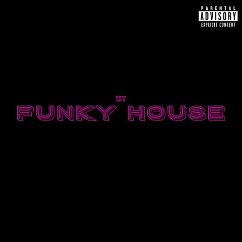 FUNKY HOUSE