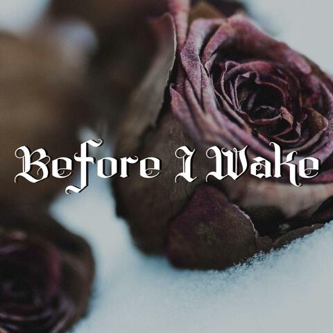 Before I Wake