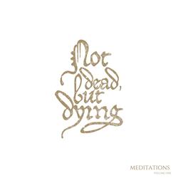 Meditation Three (The Horrors Of Human)