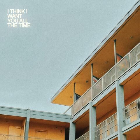 I Think I Want You (All The Time)