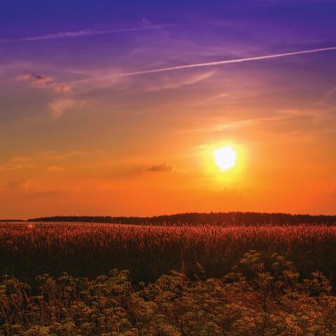 Pleasant Relax