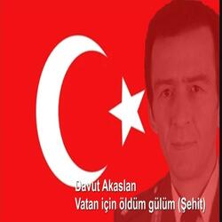 Vatan için öldüm gülüm