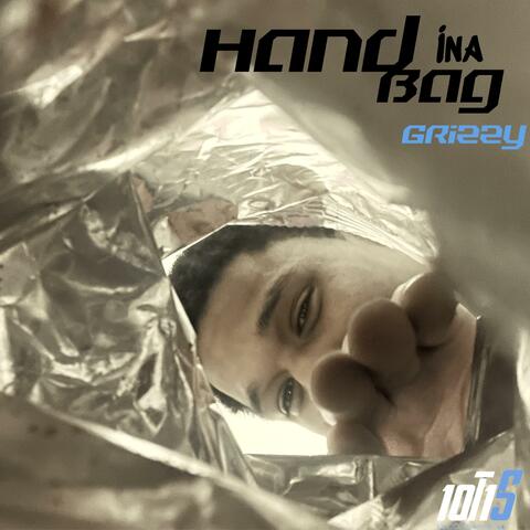 Hand Ina Bag