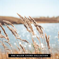 Generous C# / Db (C# major / Db major) CHORD
