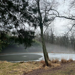 Musical Prayers: Jesus Have Mercy on Me