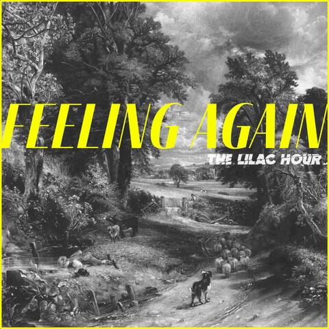 Feeling Again