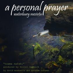 a personal prayer (tzama nafshi) (feat. Dovid Moskowitz & Avraham Rothman)