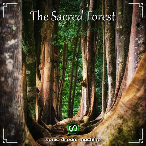 The Sacred Forest
