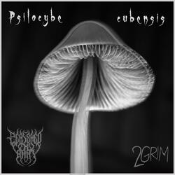 Psilocybe cubensis (feat. 2GRIM)