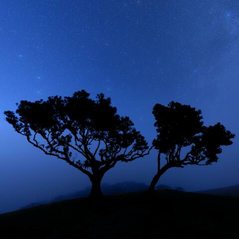 Duality