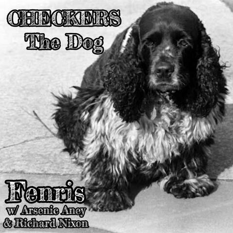 Checkers The Dog