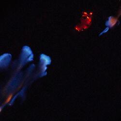 Tactile Memory Is Still In His Left Palm