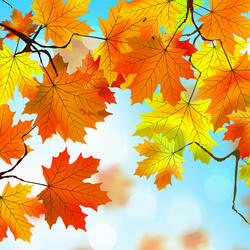 Autumn Wals