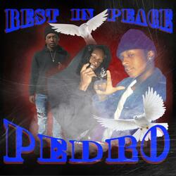 Feeling Like Pedro