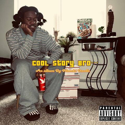 Cool Story Bro...