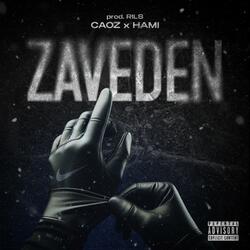 Zaveden (feat. Hami)
