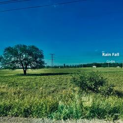 Rain Fall