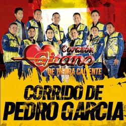 CORRIDO DE PEDRO GARCIA