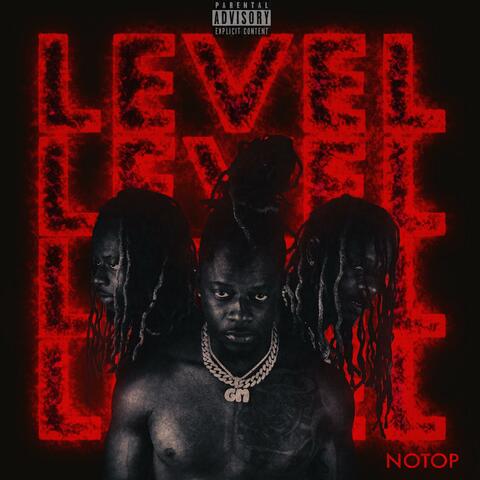 Level