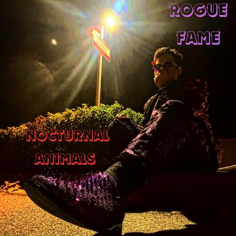 Nocturnal Animals