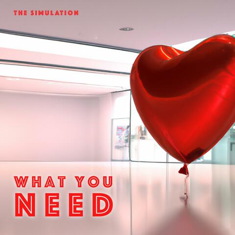 What You Need