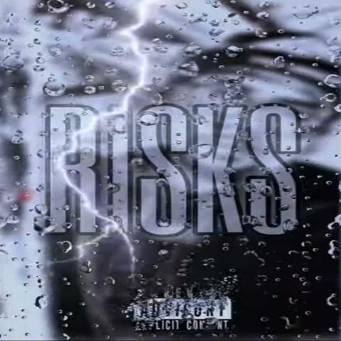 Risks