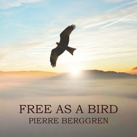 Free as a Bird