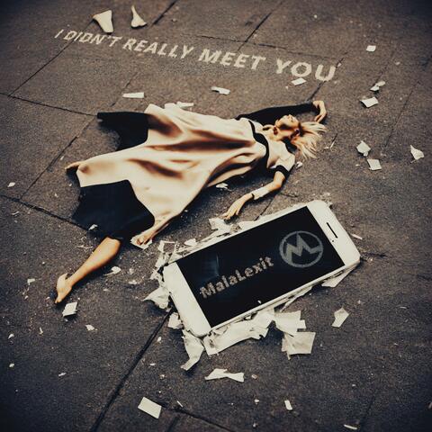 I Didn't Really Meet You