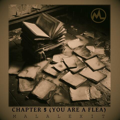 Chapter 5 (You Are A Flea)