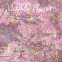10,000 Flowers
