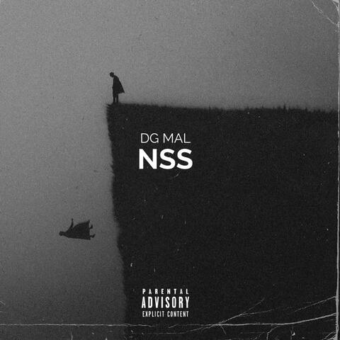 NSS