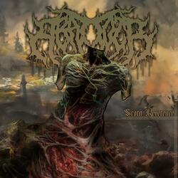 Scorn Reverence
