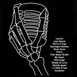 The Fallen Incarnates