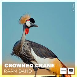 Crowned Crane