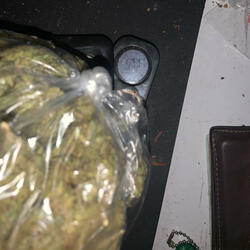 Trapp all day