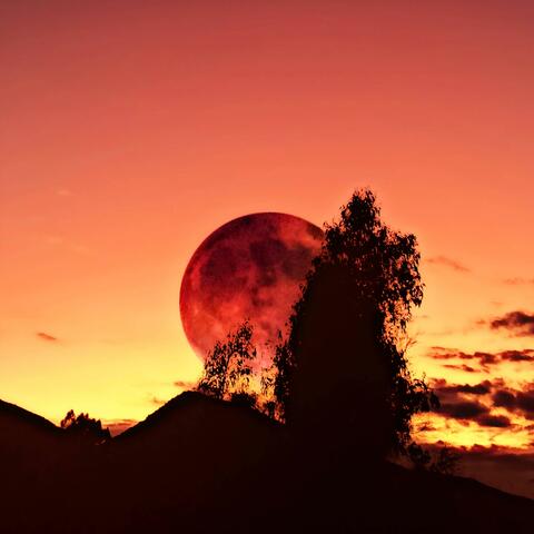 De Luna 21