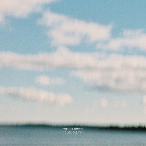 Cloud Bay