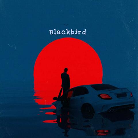 Blackbird