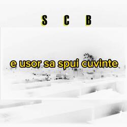 e ușor să spui cuvinte