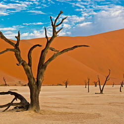 Namib