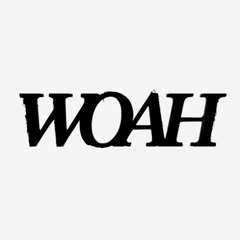 WOAH (feat. Checks, BRUHMANEGOD, Cxrpse & Fenrir)